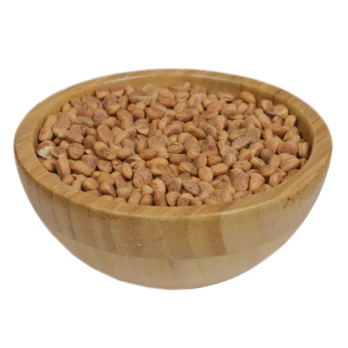Charoli Seeds