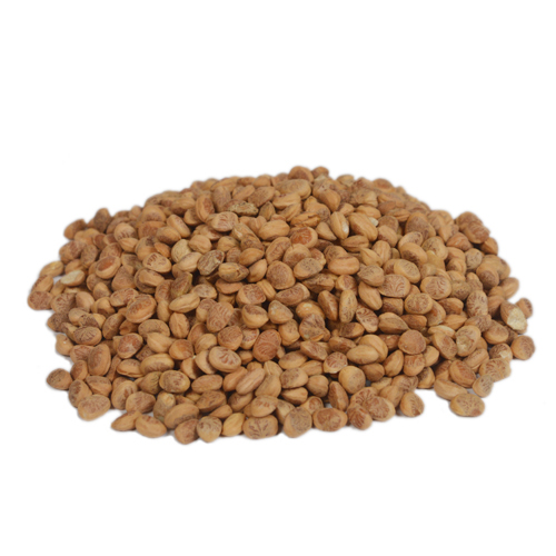 Charoli Seeds